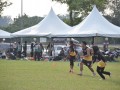 Tn dsc 2531